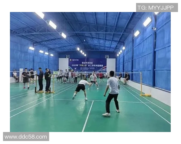 武汉羽毛球队防反战术解析及其在比赛中的应用探讨